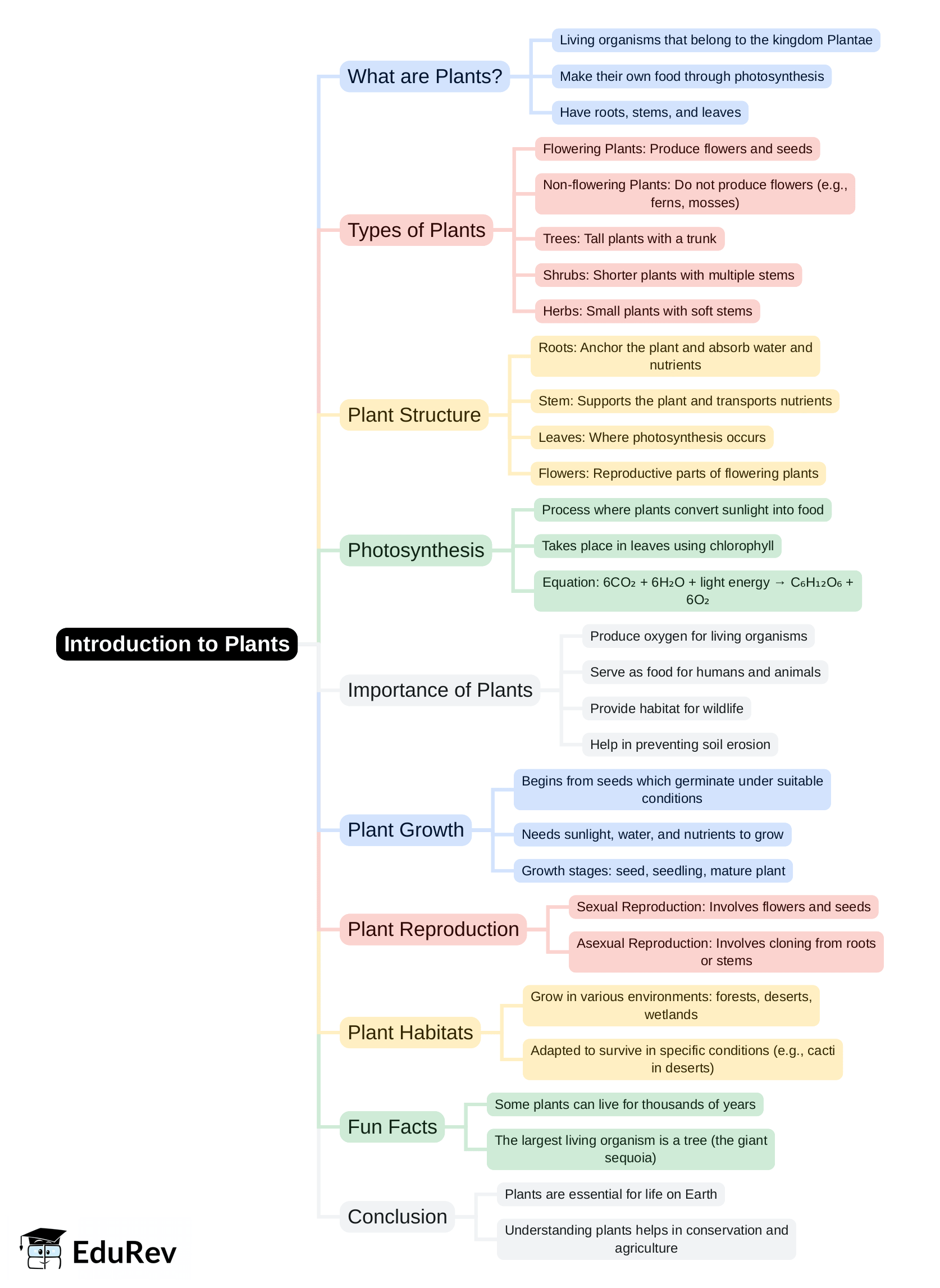 Mind Map - PDF Download