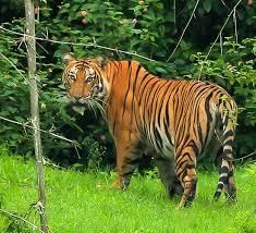 Karnataka: Wildlife and Ecotourism | KPSC KAS Preparation: All subjects - KPSC KAS (Karnataka)