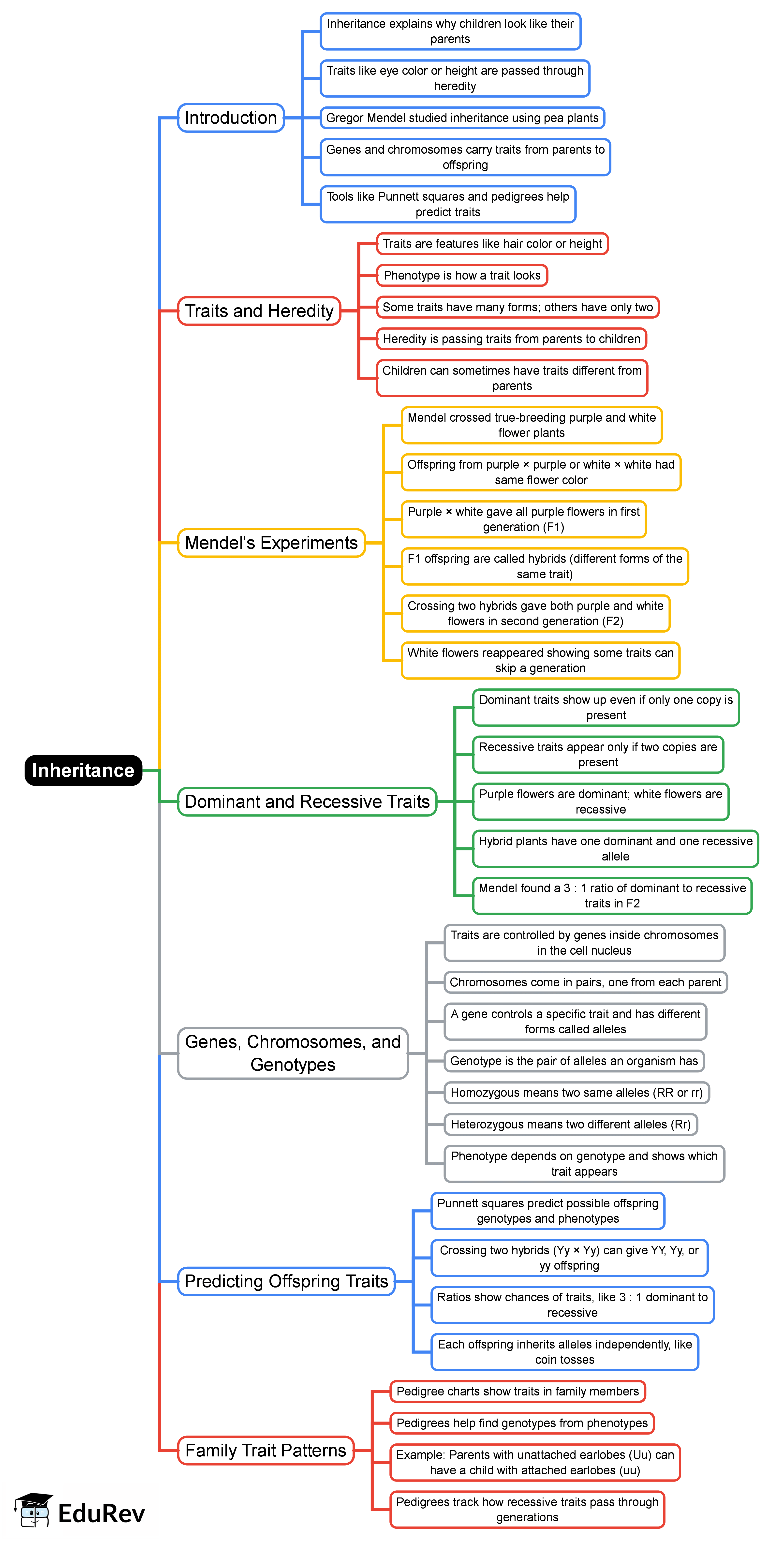 Inheritance Mind Map - Grade 6 Science PDF Download