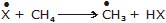 Hydrocarbons, CBSE, Class XI, IIT JEE, Syllabus, Preparation, AIPMT, NCERT, Important, Alkanes, Alkenes, Alkynes