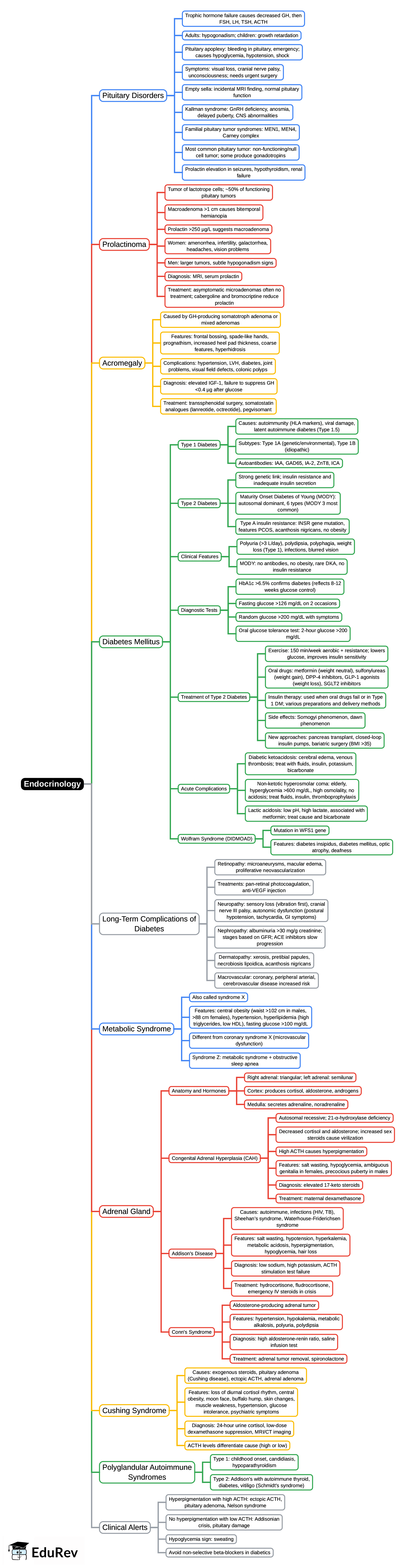 Mind Map: Endocrinology – 1