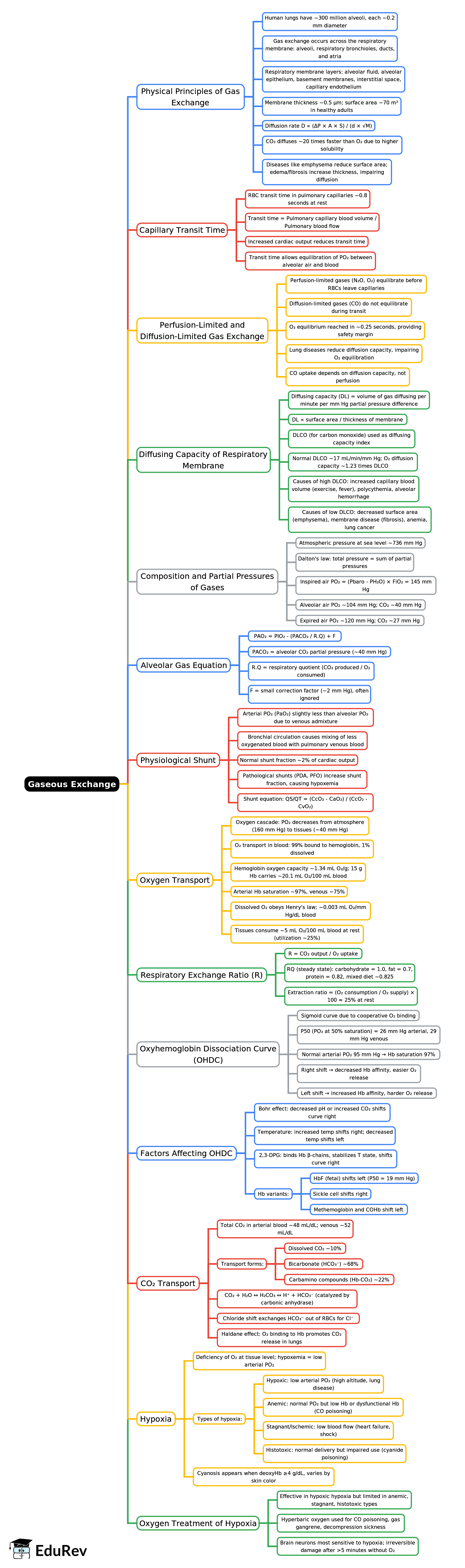 Mind Map: Gaseous Exchange | Physiology - NEET PG