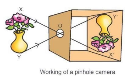 Light Chapter Notes | Physics Class 6 ICSE