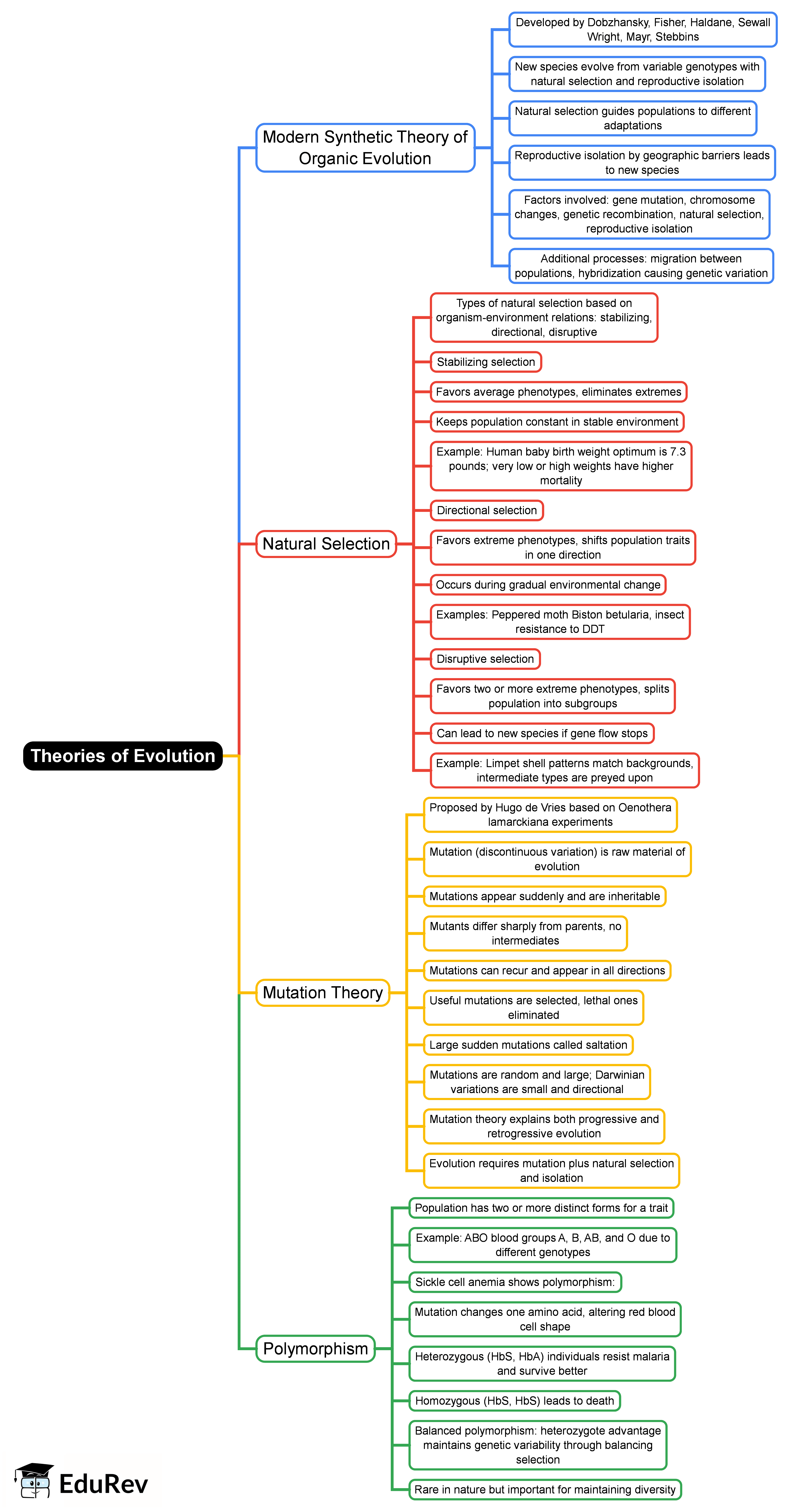 Theories of Evolution Mind Map - JAMB Biology PDF Download