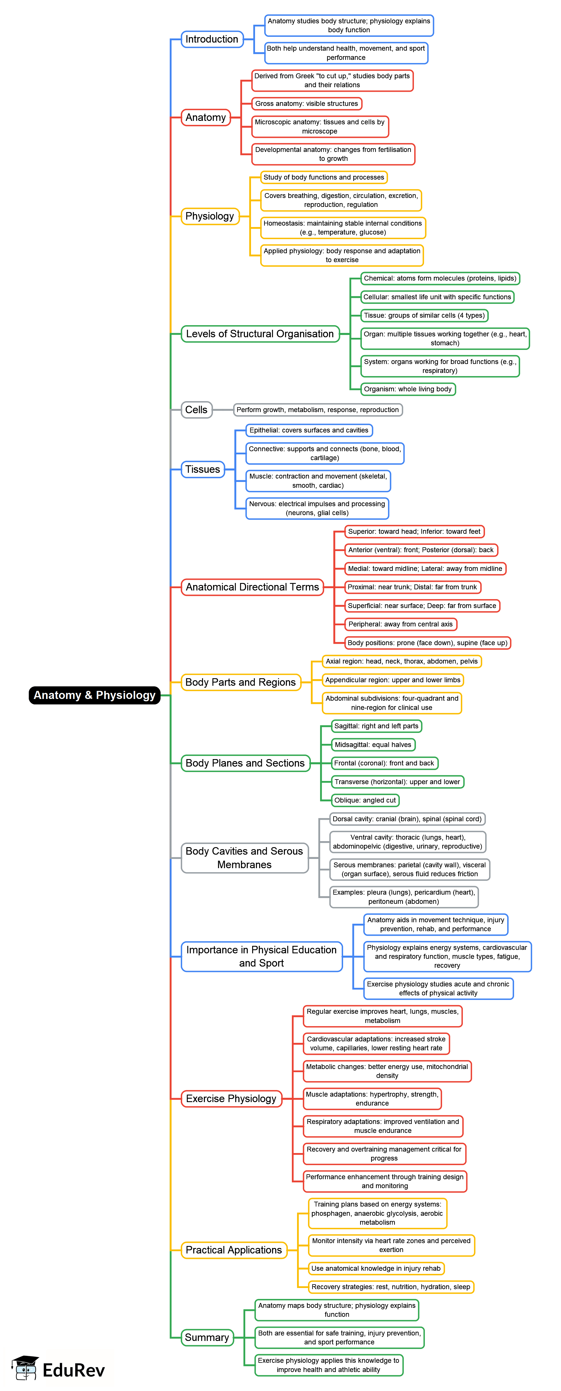mind-map-anatomy-and-physiology-physical-education-for-ugc-net-pdf