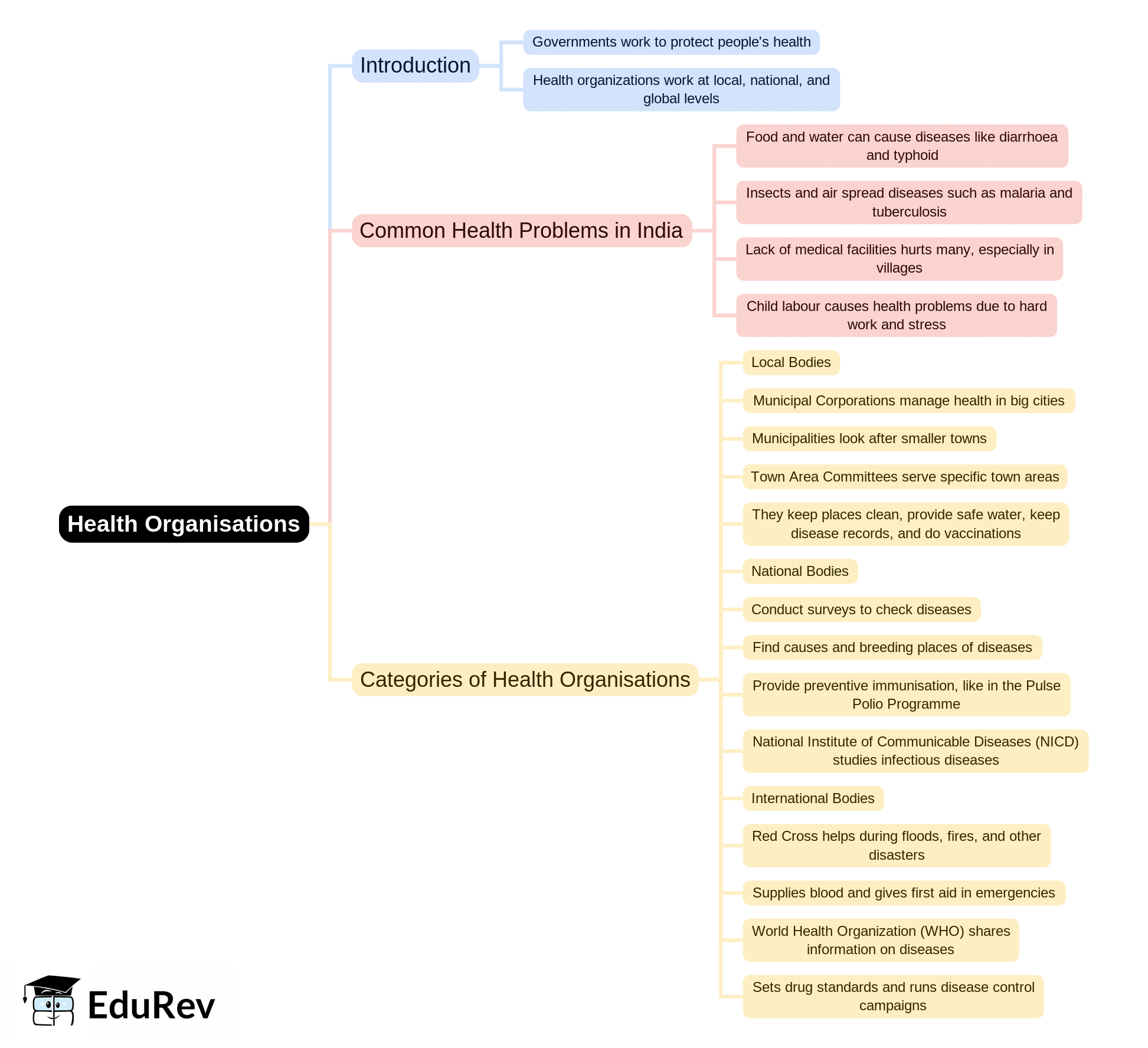 Mind Map: Health Organisations | Health and Physical Education for Grade 10