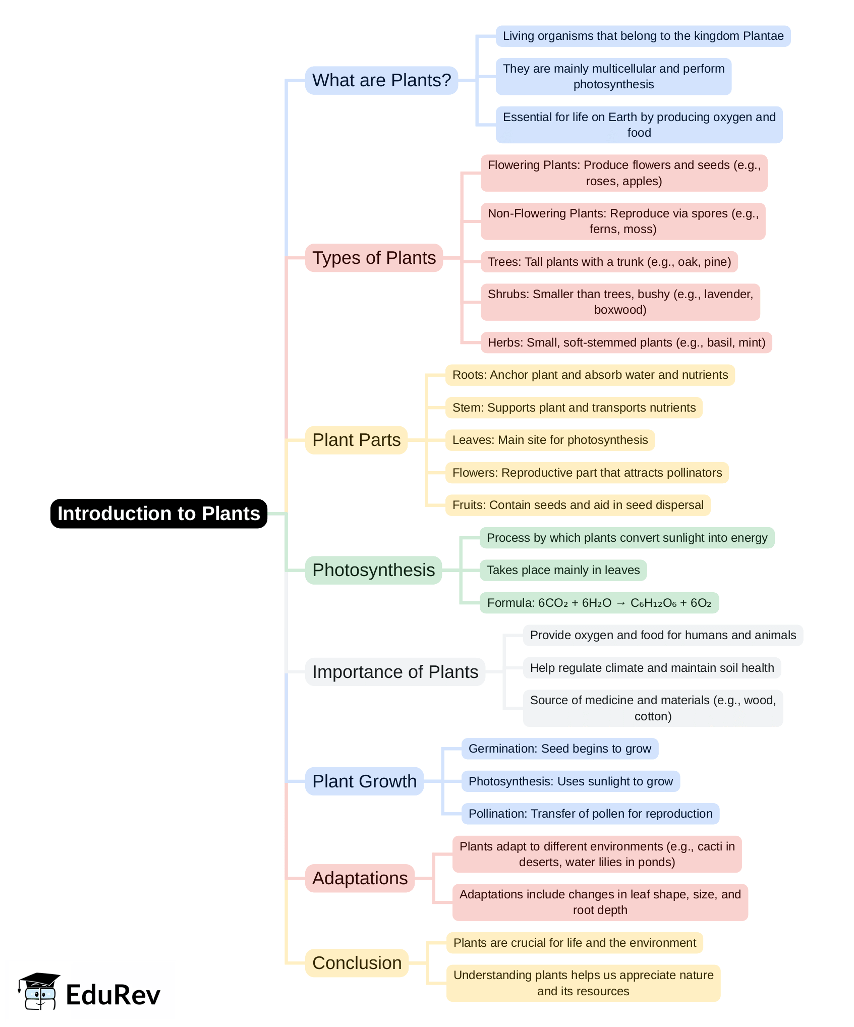 Mind Map - PDF Download