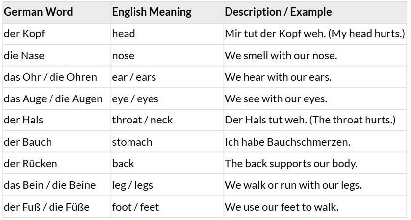 Stefan, wie geht’s dir? Chapter Notes | Learn German (Hallo Deutsch 3) - Class 8