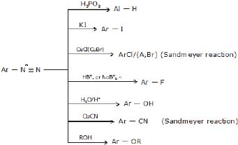 CBSE, Class 12, IIT JEE, Syllabus, Preparation, AIPMT, NCERT, Important, Amines, Compounds containing Nitrogen