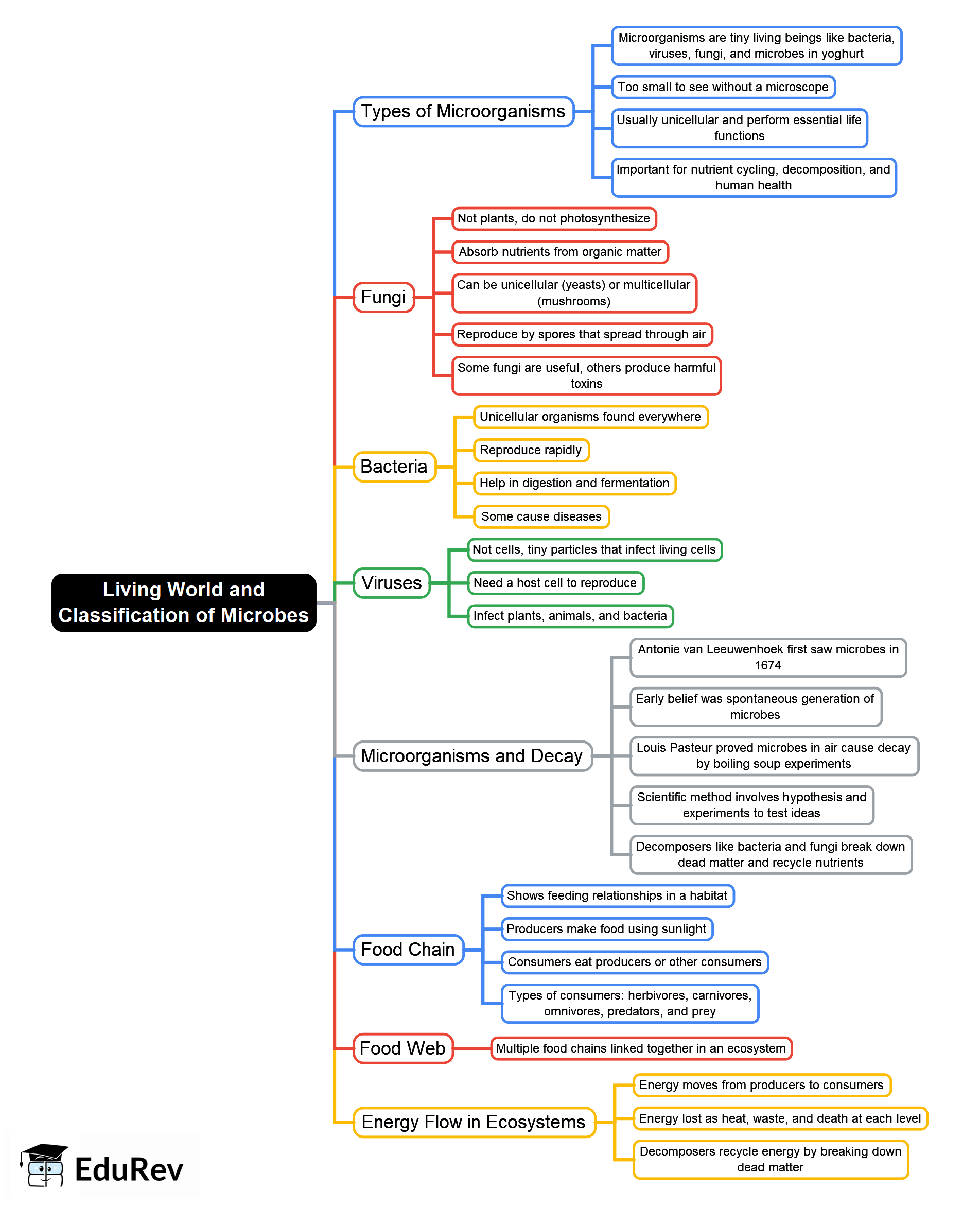 Mind Map: Living World and Classification of Microbes