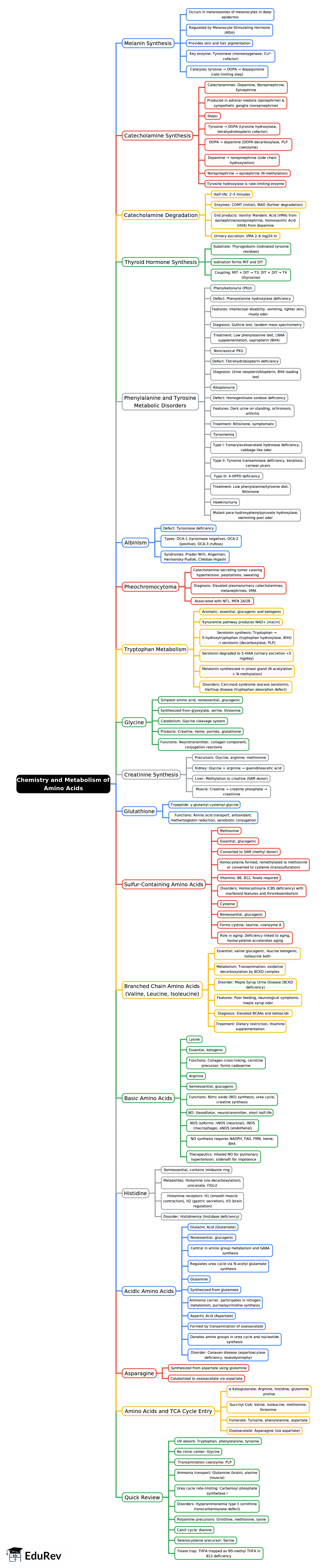 Mind Map: Chemistry and Metabolism of Amino Acids -2 | Biochemistry - NEET PG