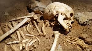 What can fossils tell us? | Year 6 Science