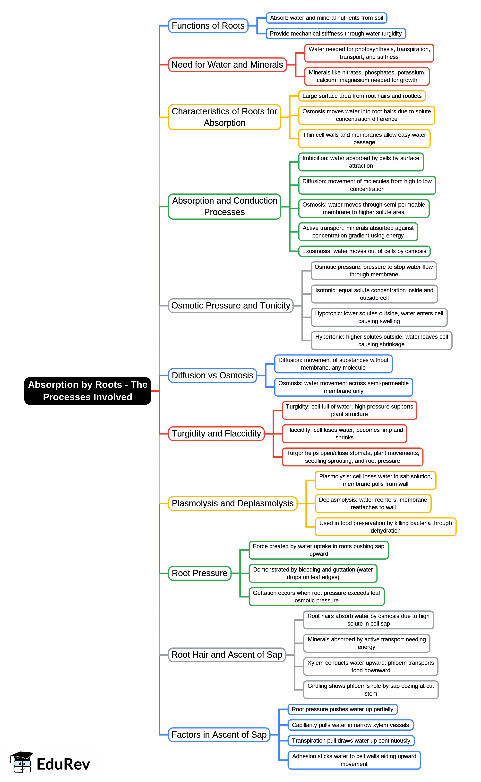 Mind Map: Absorption by Roots - The Processes Involved | Biology Class 10 ICSE