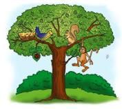 Plants—Our Green Friends Chapter Notes | Science Class 2 ICSE