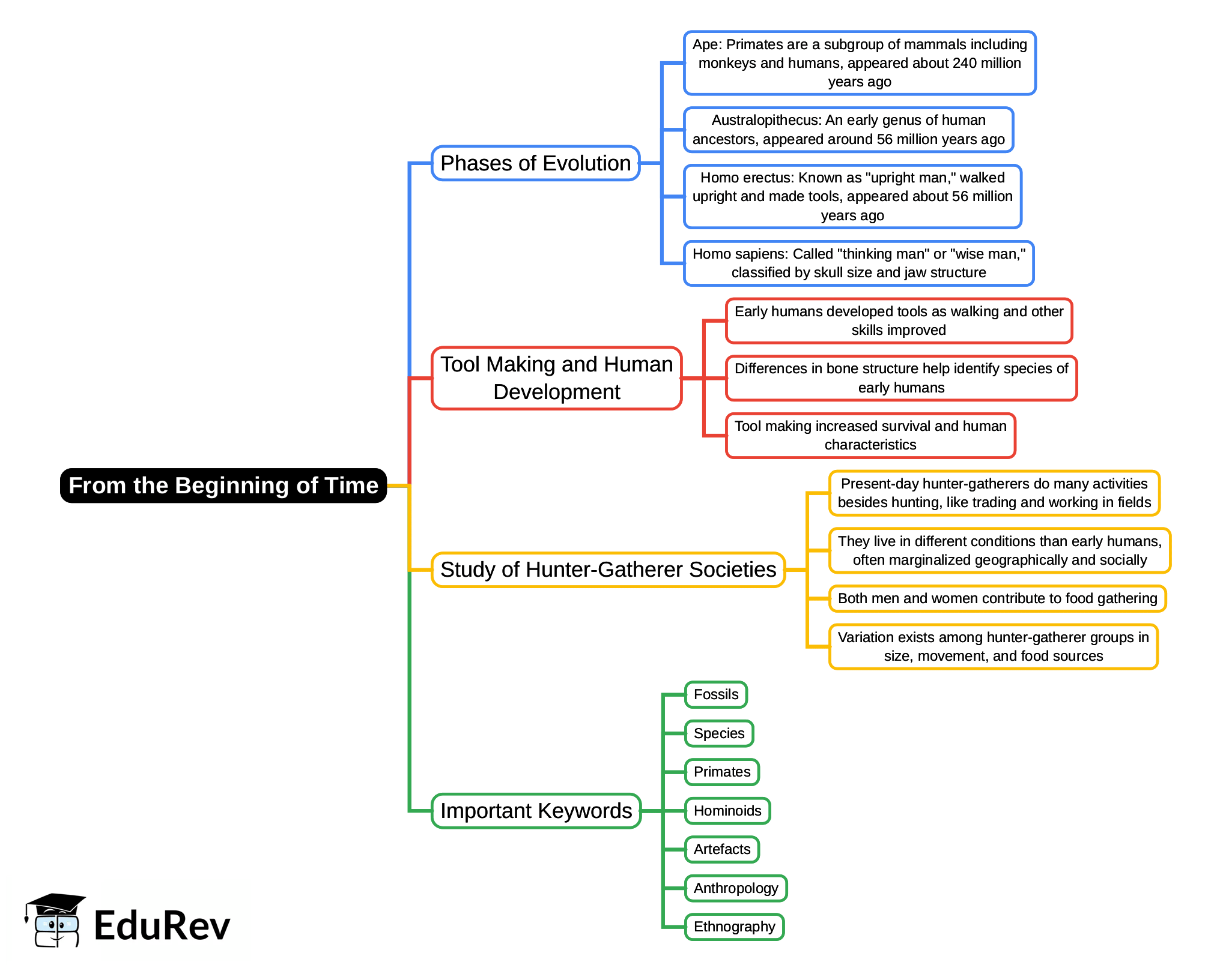 Mindmap: From the Beginning of Time (Old Syllabus) | History Class 11 - Humanities/Arts