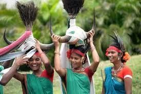 Scheduled Tribes | APPSC State Specific Preparation Course - APPSC (Andhra Pradesh)