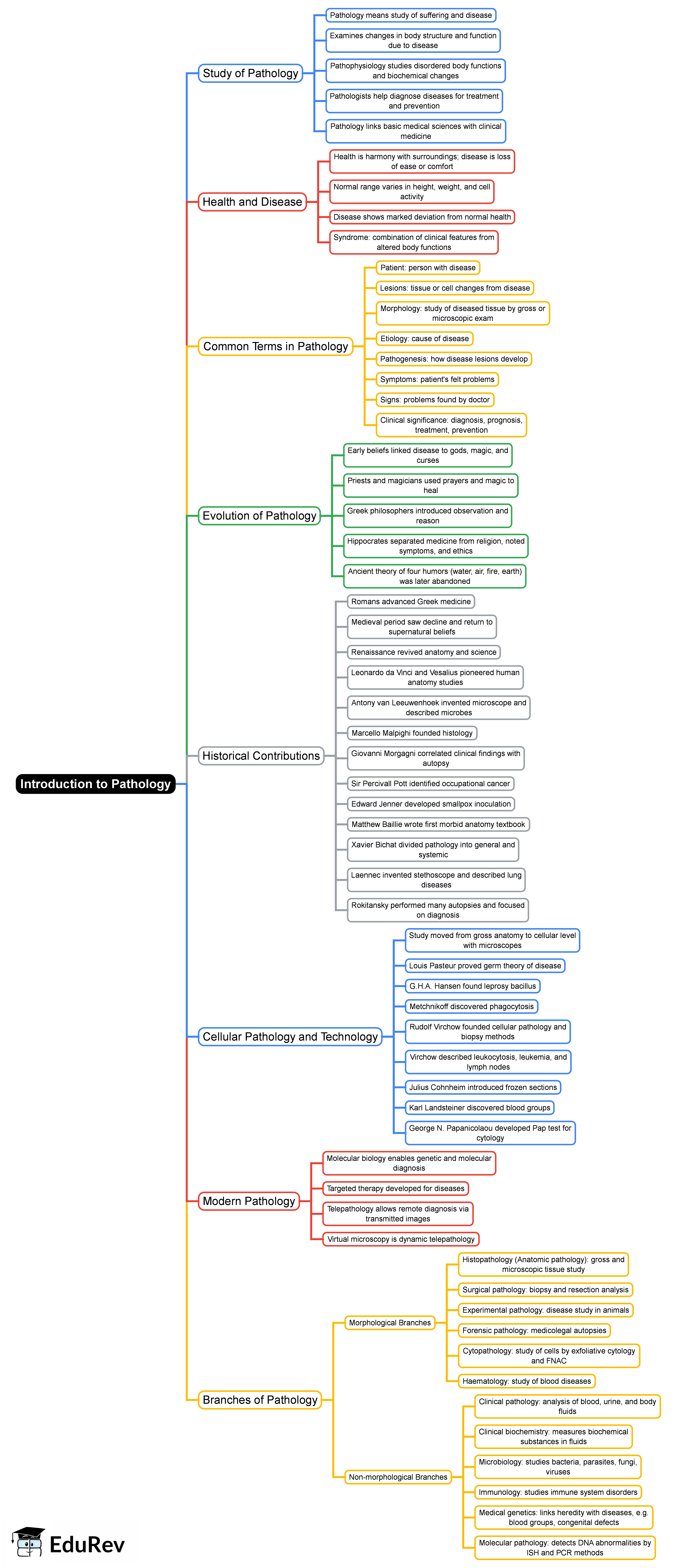 Pathology Map Example Introduction to Pathology Mind Map - GPAT Pathophysiology