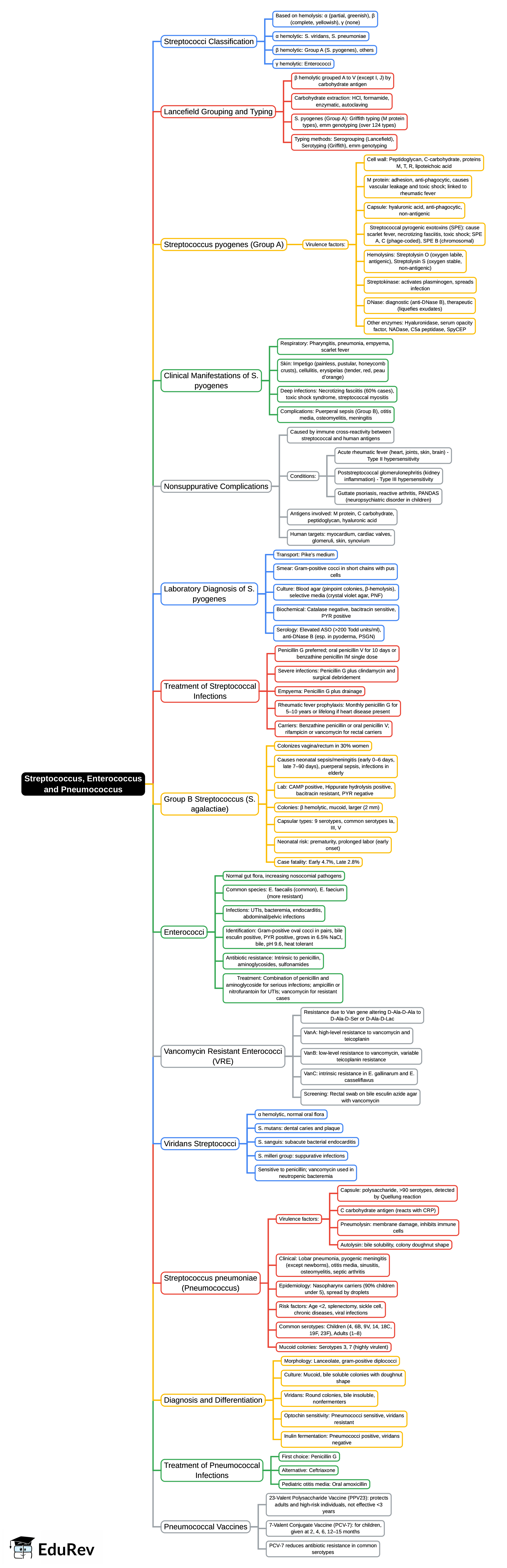 Mind Map: Streptococcus, Enterococcus and Pneumococcus | Microbiology - NEET PG