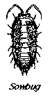 Pests and diseases and their mode of action - Plant Protection Measures, Crop Production | Crop Production Notes- Agricultural Engineering