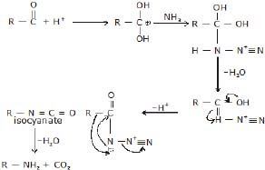 CBSE, Class 12, IIT JEE, Syllabus, Preparation, AIPMT, NCERT, Important, Amines, Compounds containing Nitrogen