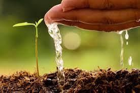 A Watering Rhyme Class 4 Worksheet English
