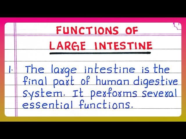 Revision Notes: Digestive System | Biology and Biochemistry for MCAT