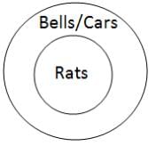 Syllogism Questions for CAT with Answers PDF