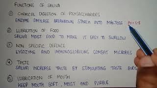 Revision Notes: Digestive System | Biology and Biochemistry for MCAT