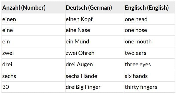 Stefan, wie geht’s dir? Chapter Notes | Learn German (Hallo Deutsch 3) - Class 8