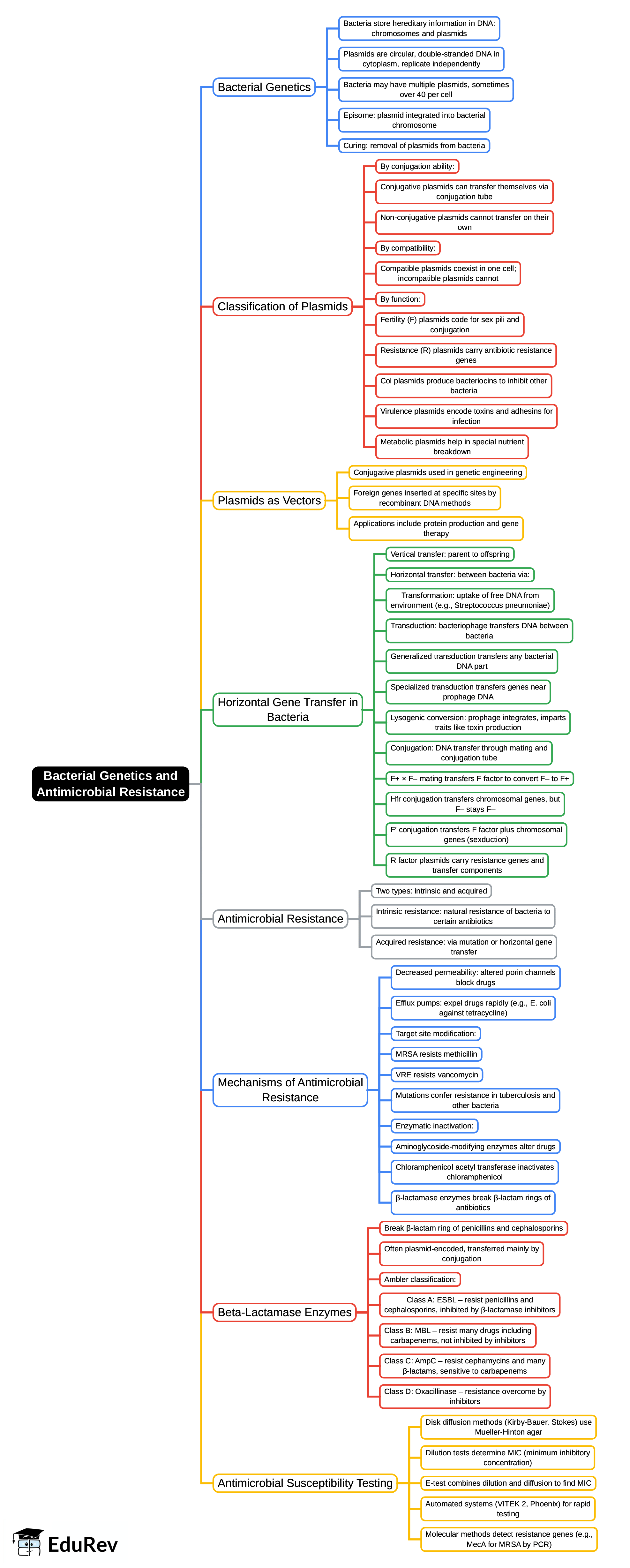 Mind Map: Bacterial Genetics and Antimicrobial Resistance | MCAT Biological and Biochemical Foundations