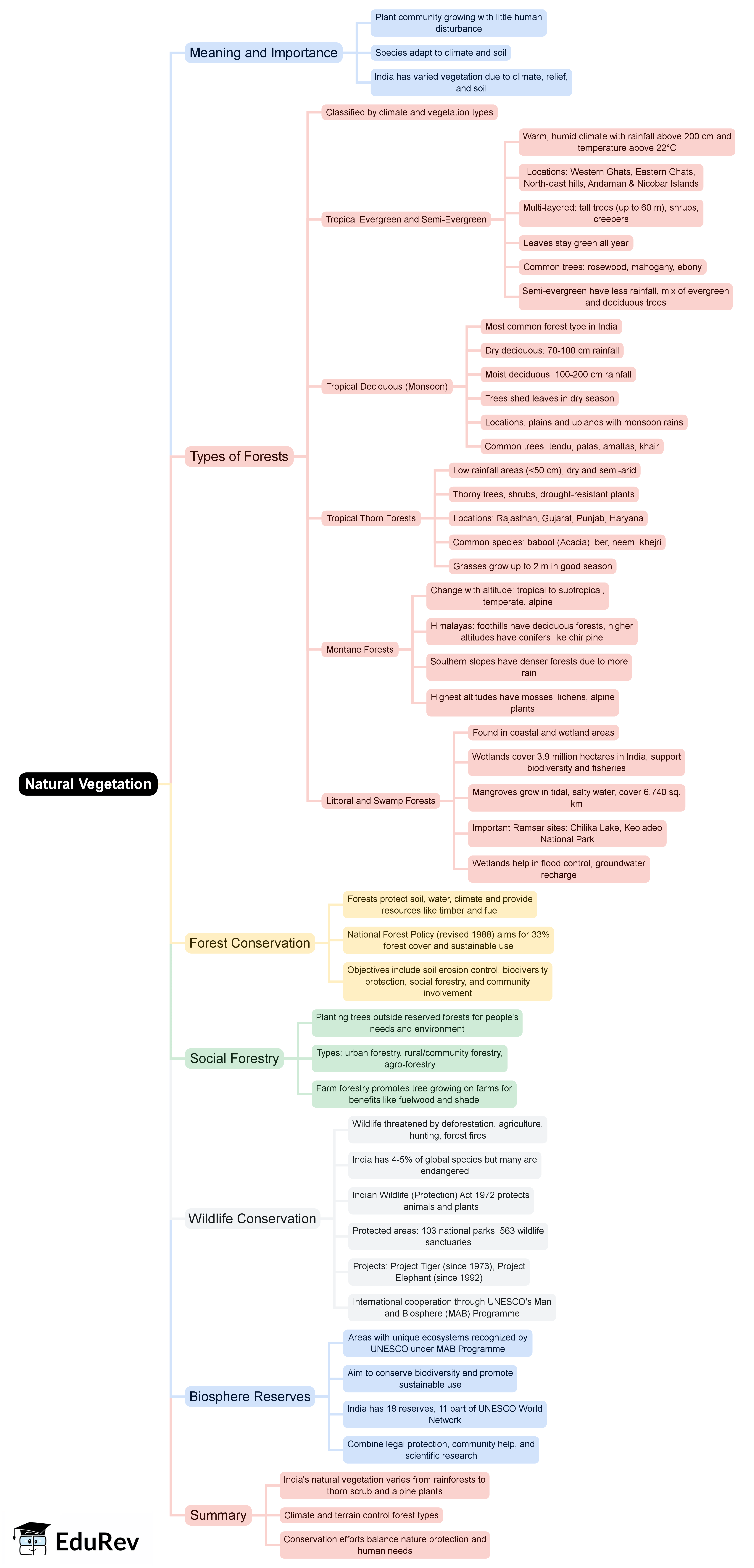 Mind Map: Natural Vegetation