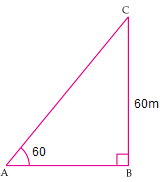NCERT Solutions - Chapter 9: Some Application of Trigonometry, Class 10, Maths