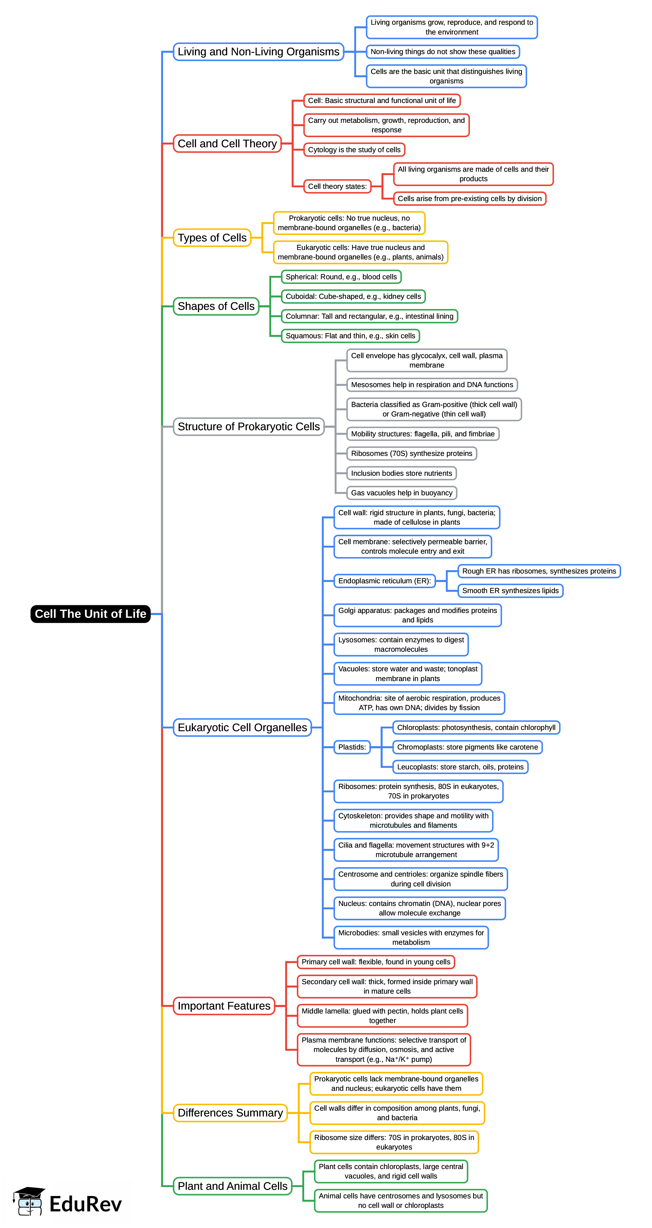 Mind Map: Cell The Unit of Life - NEET PDF Download