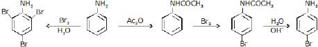 CBSE, Class 12, IIT JEE, Syllabus, Preparation, AIPMT, NCERT, Important, Amines, Compounds containing Nitrogen