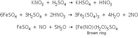 Theory & Procedure, Qualitative Analysis of Anions | Additional Study Material for NEET
