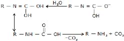CBSE, Class 12, IIT JEE, Syllabus, Preparation, AIPMT, NCERT, Important, Amines, Compounds containing Nitrogen
