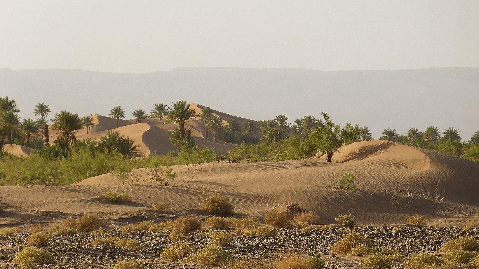 Class 7 Geography Chapter 7 Question Answers - Life in the Deserts