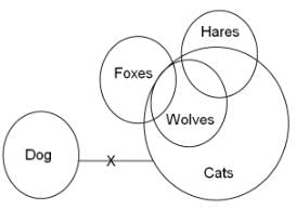 Syllogism Questions for CAT with Answers PDF