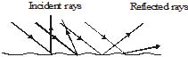 Important,Chapter,Notes,Ray,Optics,Class,10th,Science