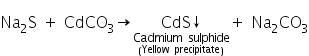 Theory & Procedure, Qualitative Analysis of Anions | Additional Study Material for NEET