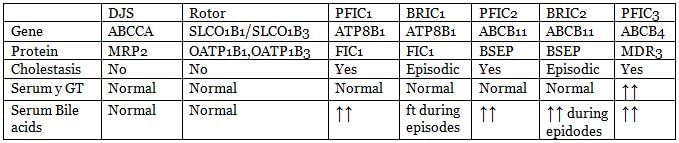 Heme Metabolism and Hemoglobins Chapter Notes | Biochemistry - NEET PG