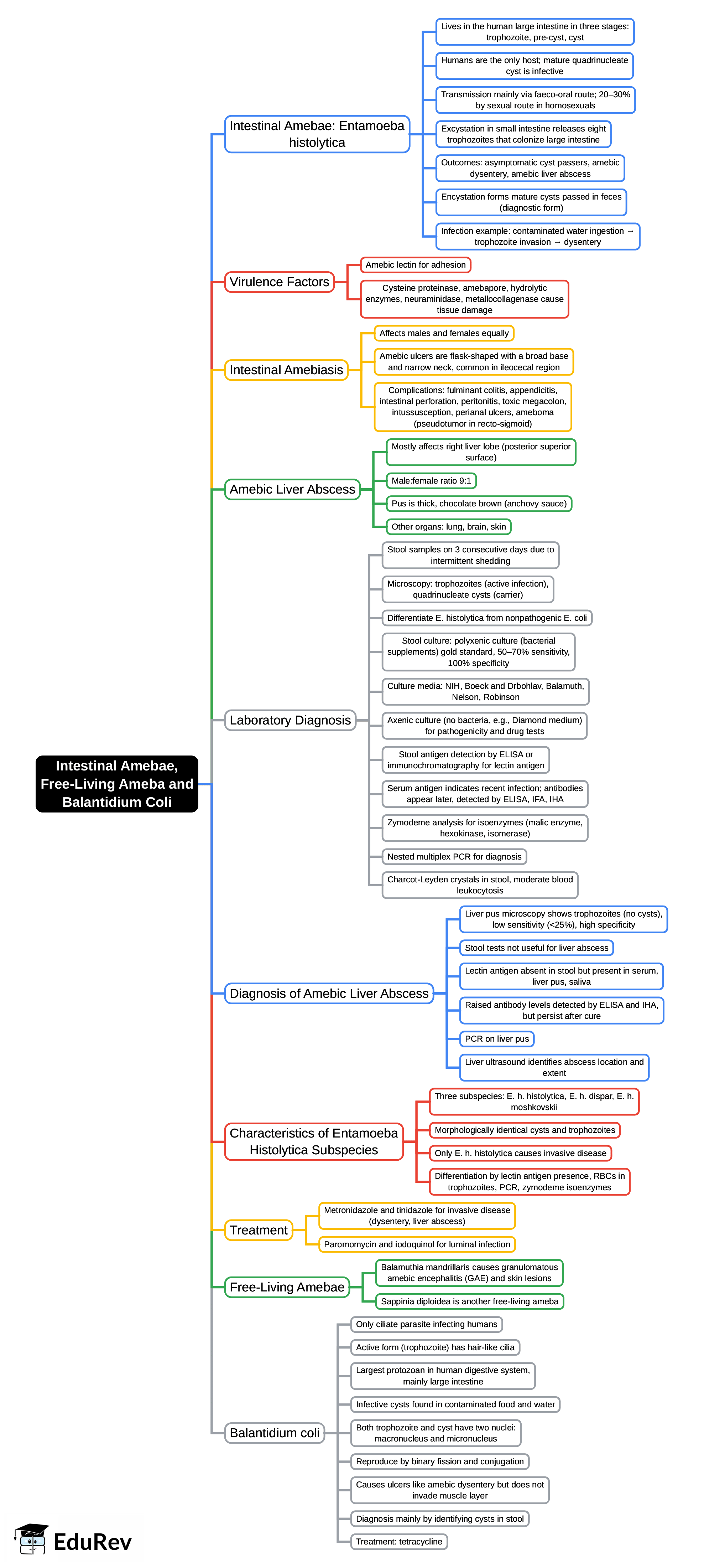 Mind Map: Intestinal Amebae, Free-Living Ameba and Balantidium Coli | Microbiology - NEET PG