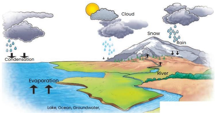 Activity 8.11: Let us understand the process