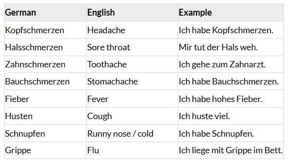 Stefan, wie geht’s dir? Chapter Notes | Learn German (Hallo Deutsch 3) - Class 8