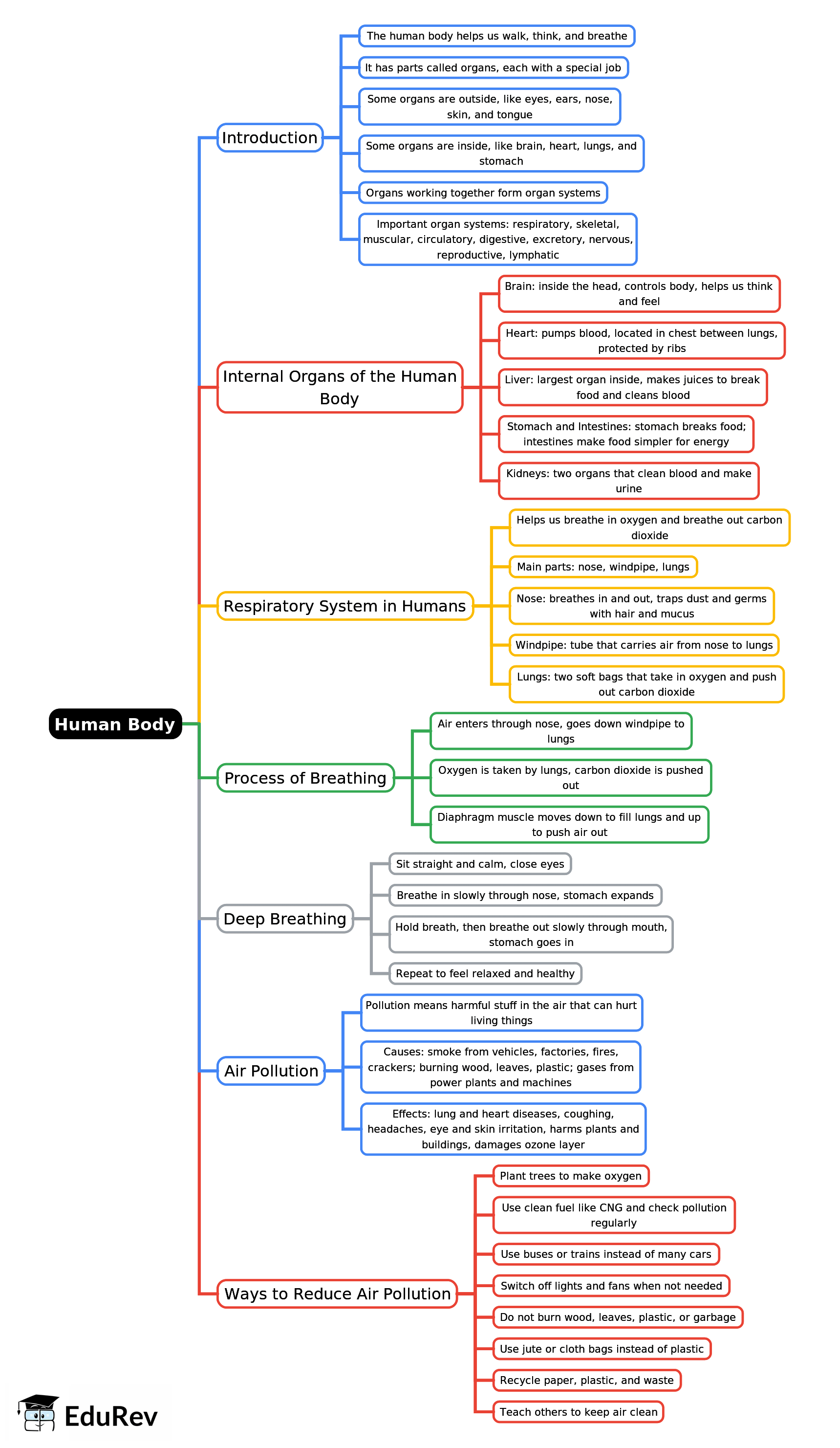Mind Map: Human Body | Science Class 3 ICSE