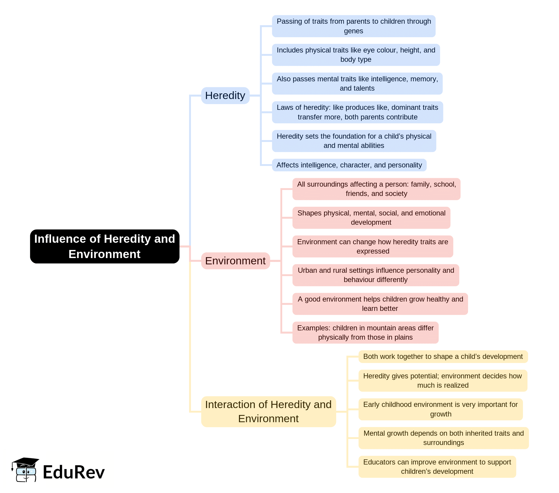 Mind Map: Influence of Heredity and Environment | Child Development and Pedagogy for CTET Preparation - CTET & State TET