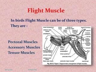 answer Image