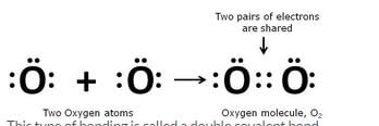 Lakhmir Singh & Manjit Kaur: Metals and Non-metals, Solutions- 3 | Science Class 10