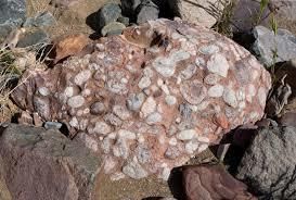 What can fossils tell us? | Year 6 Science