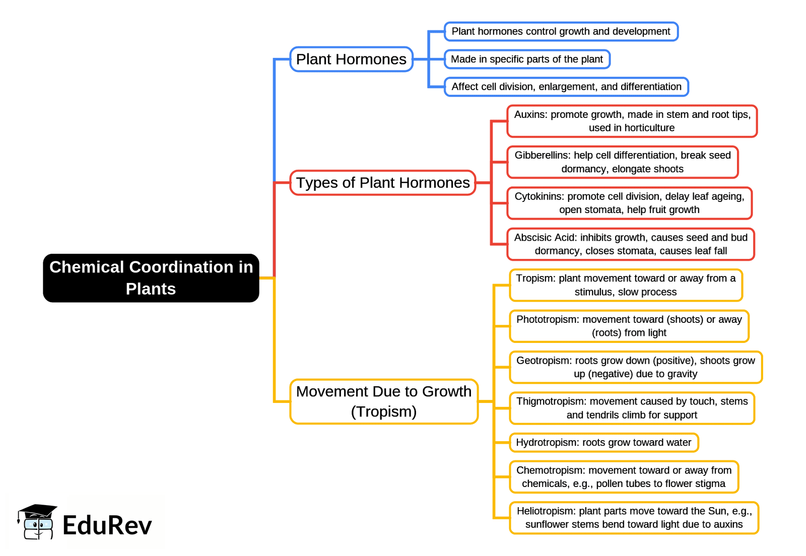 Mind Map: Chemical Coordination in Plants | Biology Class 10 ICSE